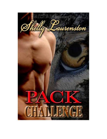 Magnus Pack - 01 - Pack Challenge - cover.jpg