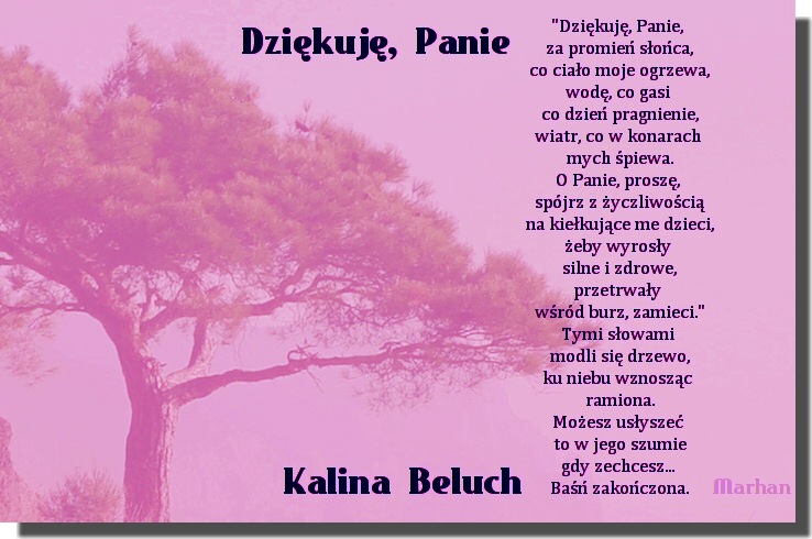 Kalina Beluch - wiersz_419.jpg