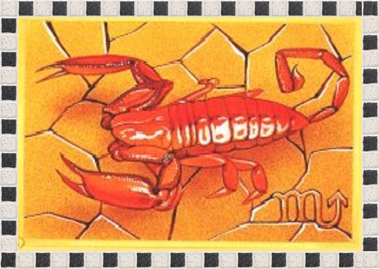 Zodiak 24 znaczki - Skorpion.jpg