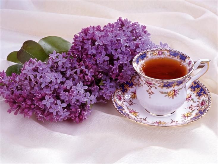 Jedzonko Food - Lilac and Teacup.jpg