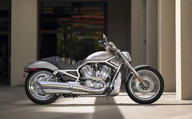02 - Harley 11.jpg