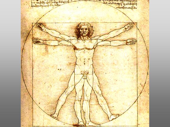 0 obrazki - Pillar8-Thought-and-Art-Vitruvian-Man-Leonardo-da-Vinci.jpg