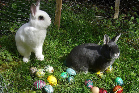 Easter - easter_bunny.jpg