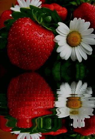 Kwiaty i owoce - truskawki i kwiaty.gif