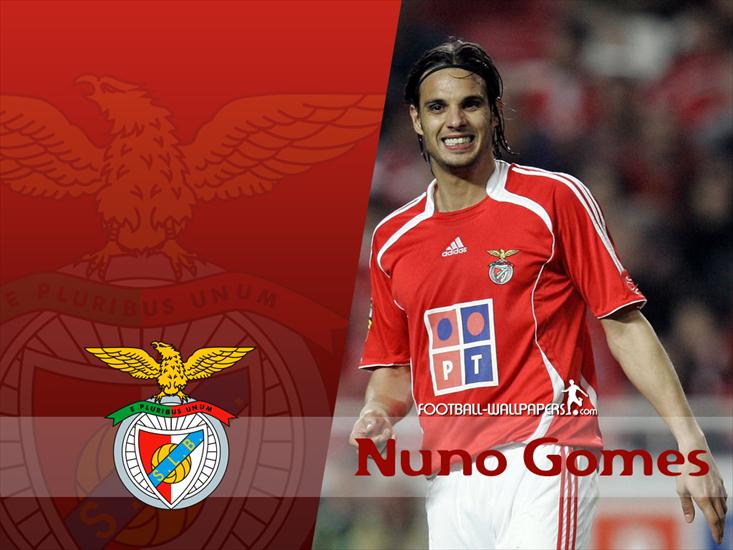 SPORT - Nuno Gomes1.jpg