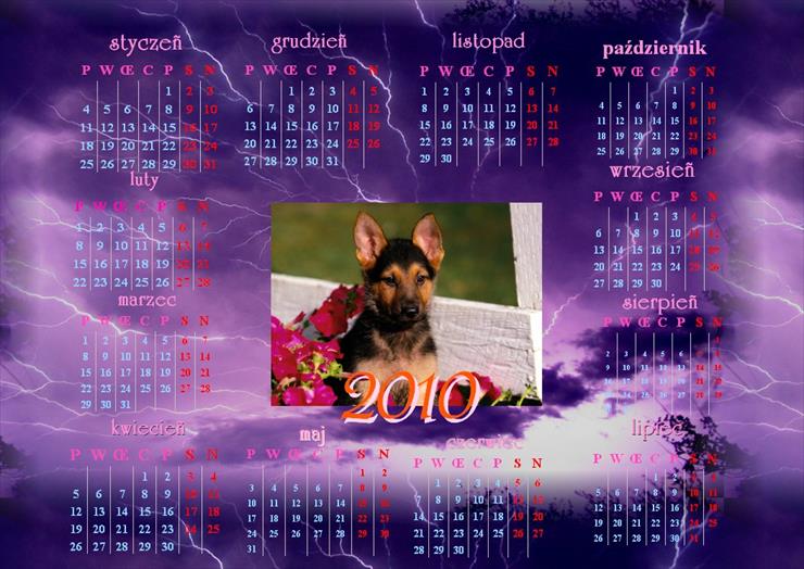 Kalendarze 2010 - kalendarz 20108.JPG