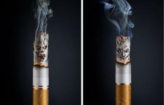 fotomontaże - papierosy.jpg