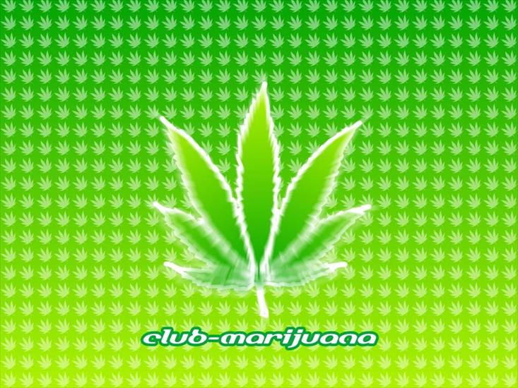 Marihuana - uituf6fgh.jpg