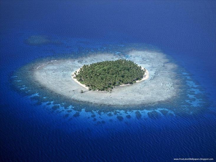 Seas, rivers, lakes  other - Coral Reefs, Micronesia.jpg