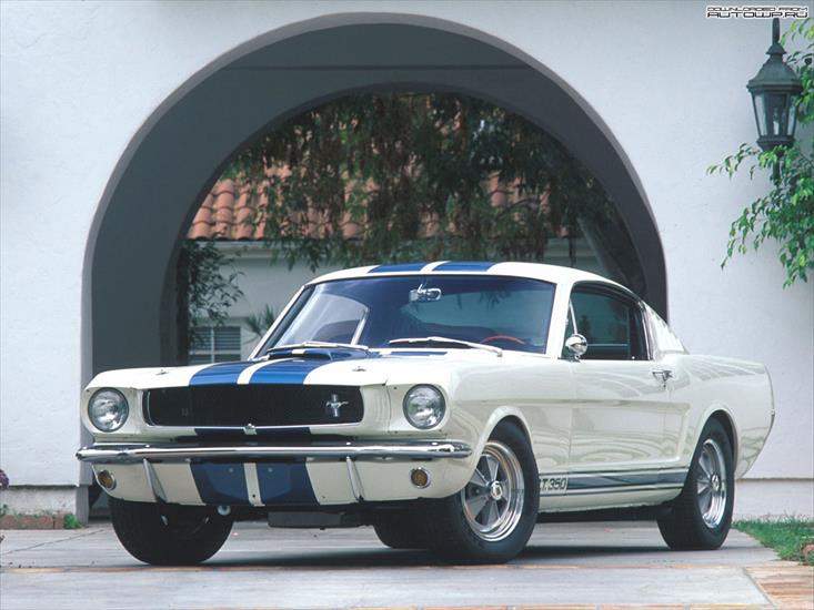 Ford_Mustang - autowp.ru_mustang_shelby_gt350_161.jpg