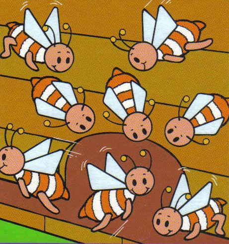 Miód - od pszczółki do miodu2.bmp