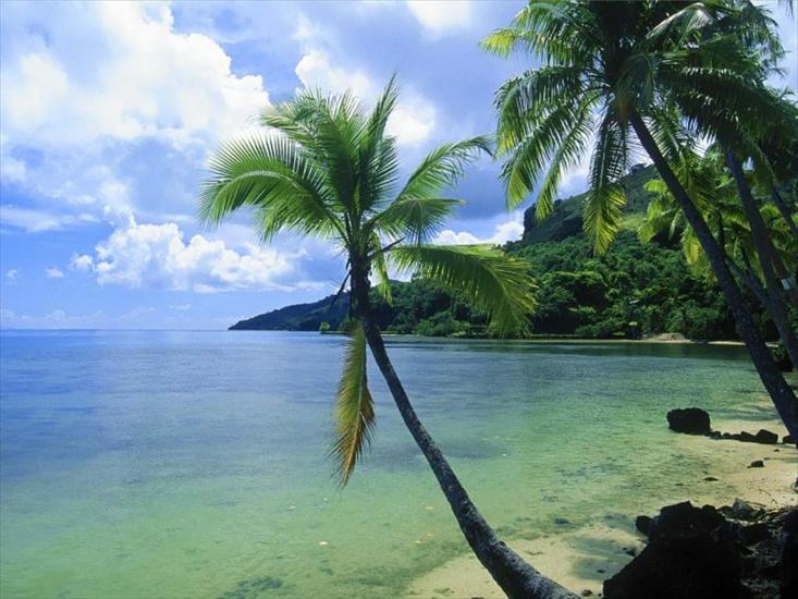 tapety-krajobrazy - Tropical Paradise 10.JPG