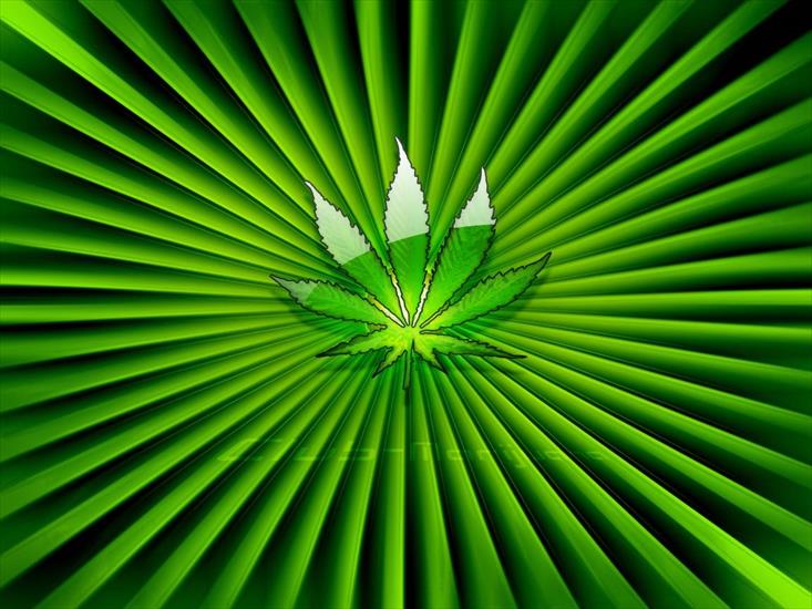 tapety - Green_Weed.jpg