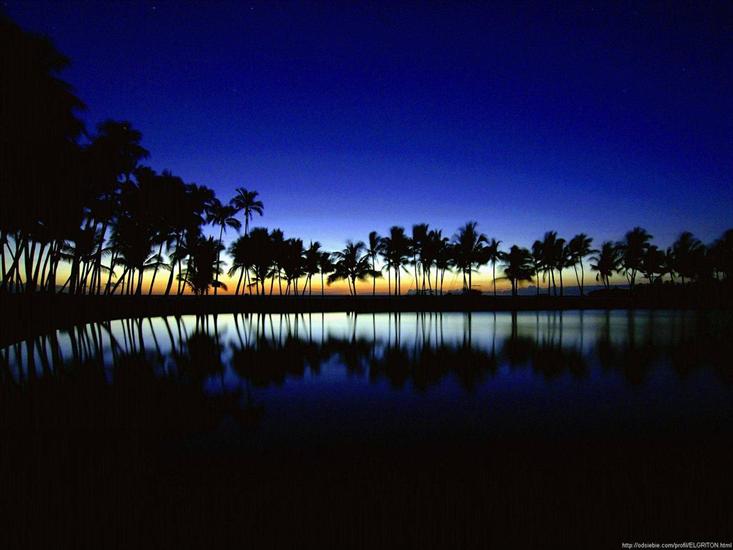 śliczne widoki - X_Palm Silhouette, Big Island, Hawaii.jpg