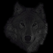 Gify - wolf01.jpg