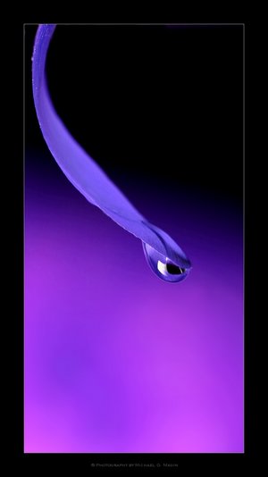 Obrazki - purple_rain_by_gwarf.jpg