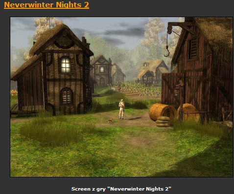 Neverwinter Nights 2  gra PL - ScreenShot022.bmp