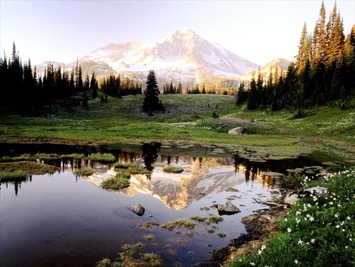 USA - Mount Rainier National Park, Washington.jpg