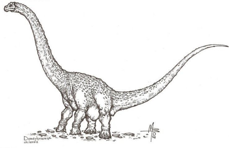 d - Oddo_Domeykosaurus.jpg