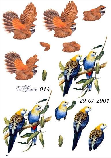 Szablony 3D -Zwierzęta - mj014-Birds01.jpg