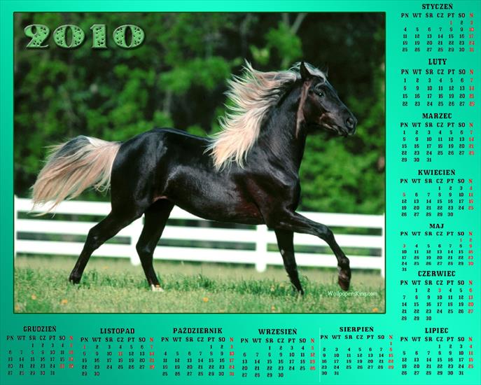 Kalendarze 2010 - KALENDARZE- 2010- KONIE.jpg