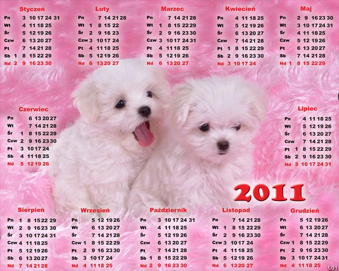 1.Kalendarze 2011r - Kalendarz 2011 psiaki.png
