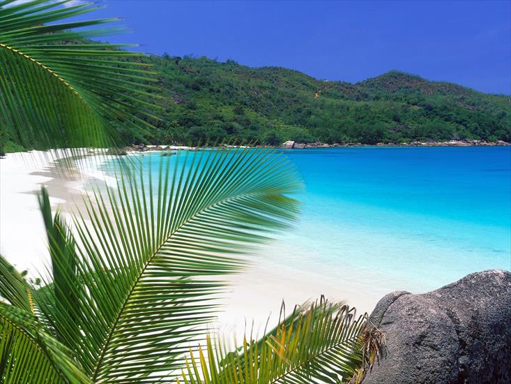 --Galeria -plaża - Tropical Retreat_Seychelles.jpg
