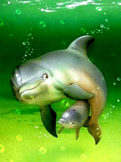 Zwierzęta - delfin2.gif