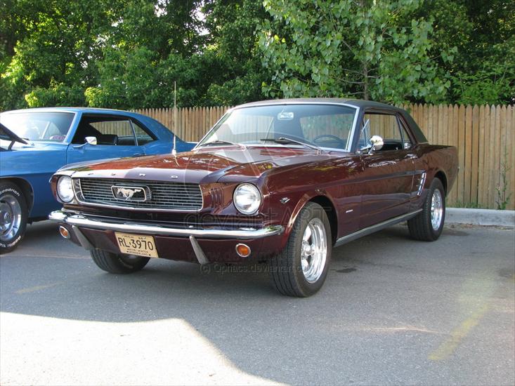  Samochody - 1966_Ford_Mustang_289_by_Qphacs.jpg