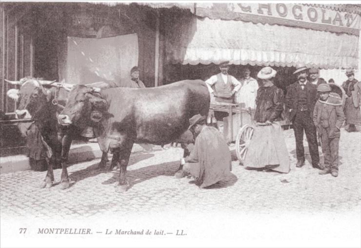 1900-1914 -  Kartki pocztowe - 1900-1914 A Montpellier le marchand de lait.jpg