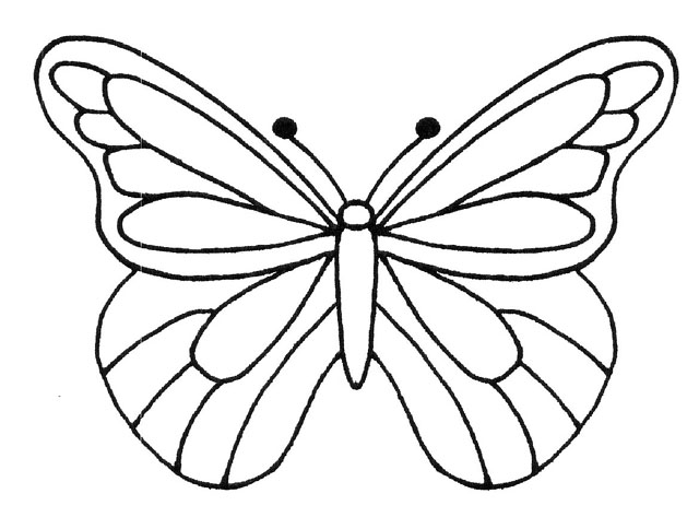 Motyl - Butterfly-41.gif