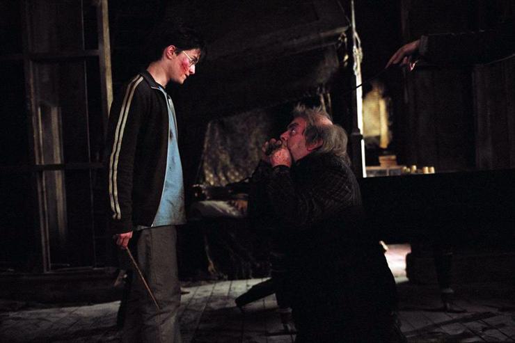 Harry Potter i  Wiezien Azkabanu 3 zdjecia - 92414.1.jpg