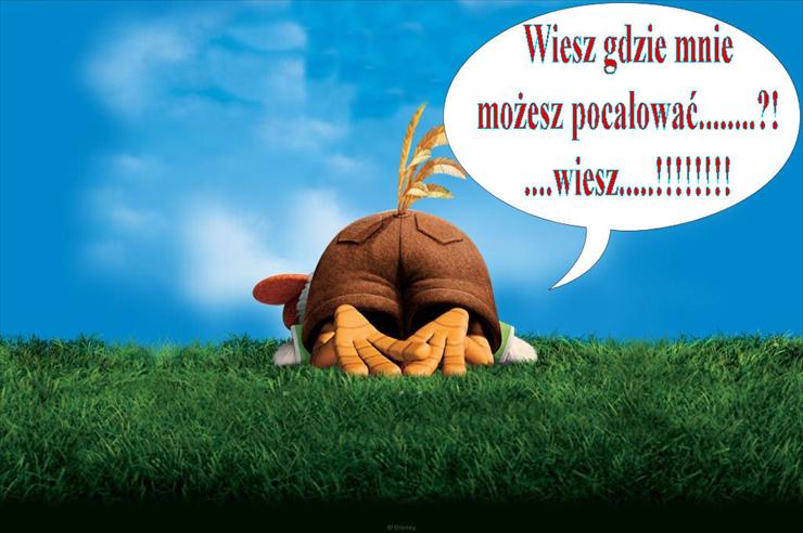 HUMOR  ŚMIESZNE OBRAZKI    - wiesz gdzie mnie ..pocałuj..no n....jpg