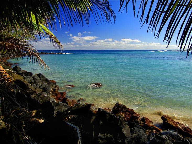 Hawaje - Palm Lagoon, Maui, Hawaii.jpg