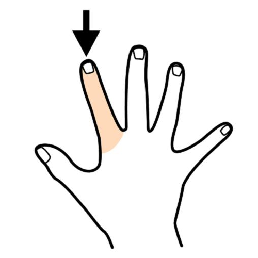 Orientacja w schemacie ciała - palec wskazujący.JPG