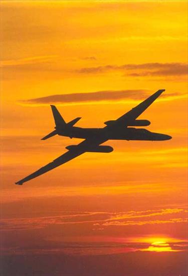 USA planes - U2high altitude aircraft7.jpg