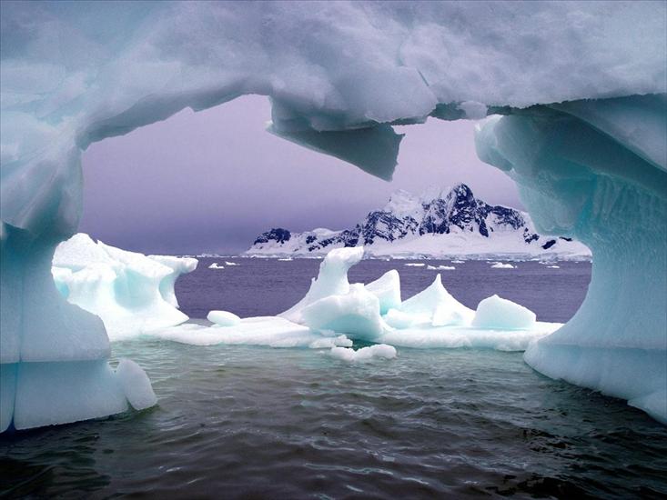 Tapety na pulpit - Paradise Bay, Antarctica.jpg