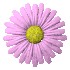 Kwiaty - mediumkq2ofe584ab1122a691ab46283.jpg