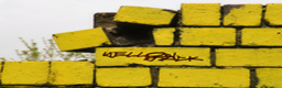 Yellow Brick - Yellow Brick.png