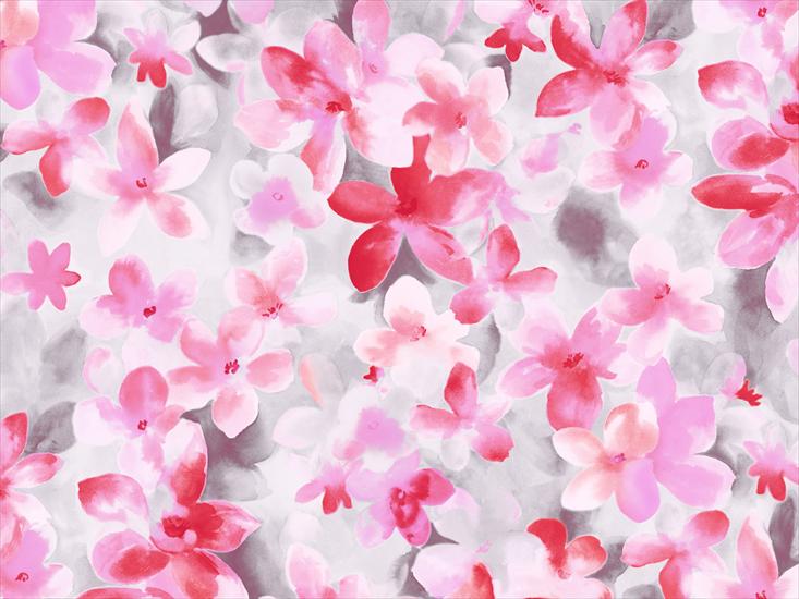 Flowers Paintings Wallpapers - Flowers 5.jpg