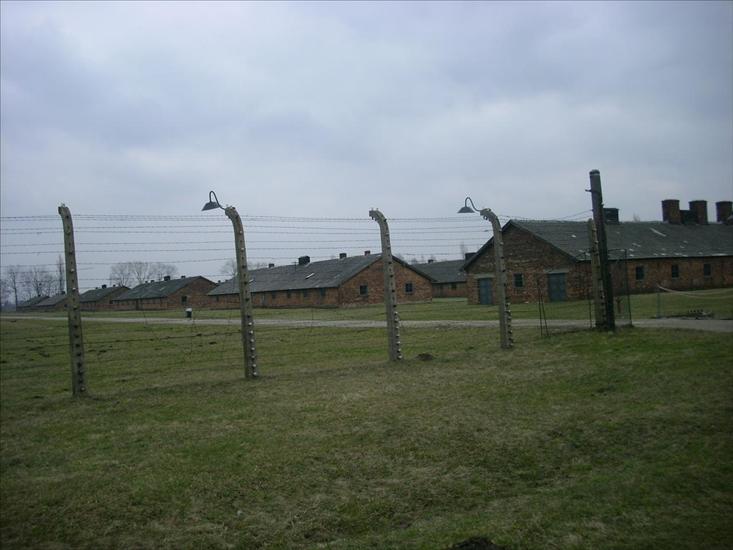 Auschwitz-Birkenau Birkenau - 1403.JPG