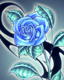 Kwiatki - Róża blue.gif