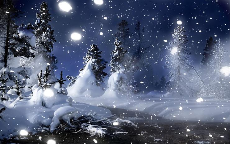 Zima - winter-night-in-park-1440x900-wallpaper-4406.jpg