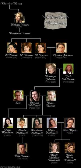 Charmed - family-tree_1_.jpg
