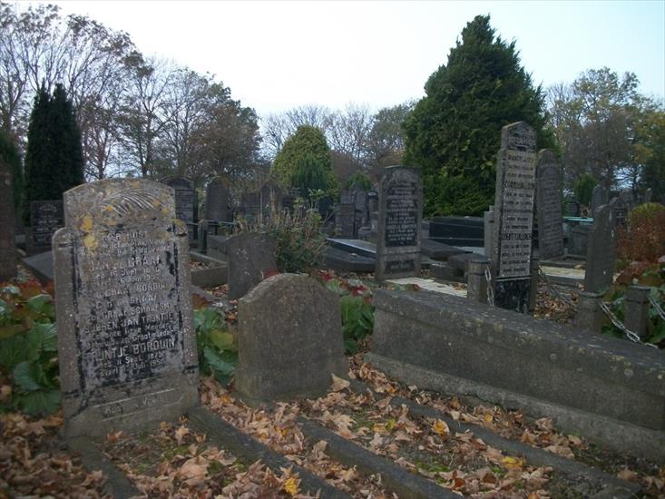 1.11.2011 cmentarz w Harlingenie - 100_2293.JPG