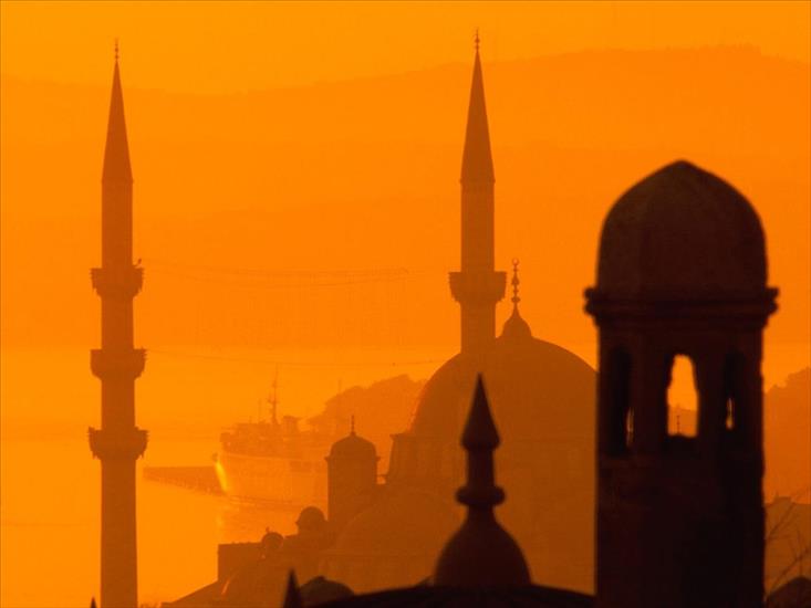 Podróż dookoła świata - Yeni Mosque, Istanbul, Turkey.jpg