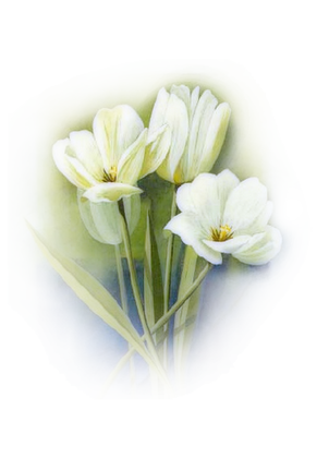 Tulipany - kwiatek 338.png