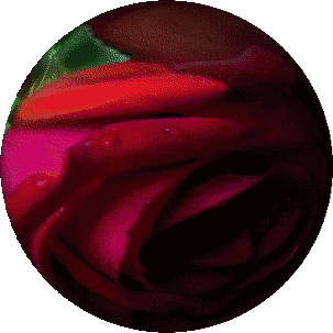 gify-kule kwiatowe - kula róża.gif