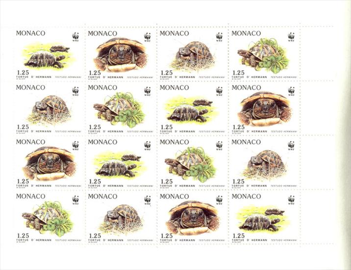Żółwie - Żółwie2.jpg