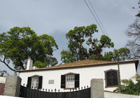 Galeria - 200px-Quinta_Bettencourt_in_Funchal,_Madeira.PNG